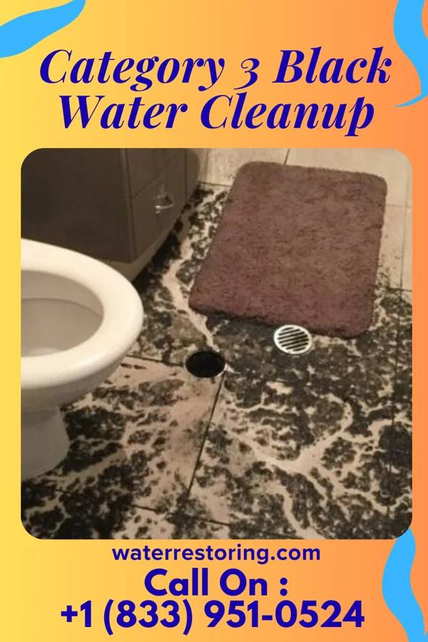Category 3 Black Water Cleanup in Greenwood, MN