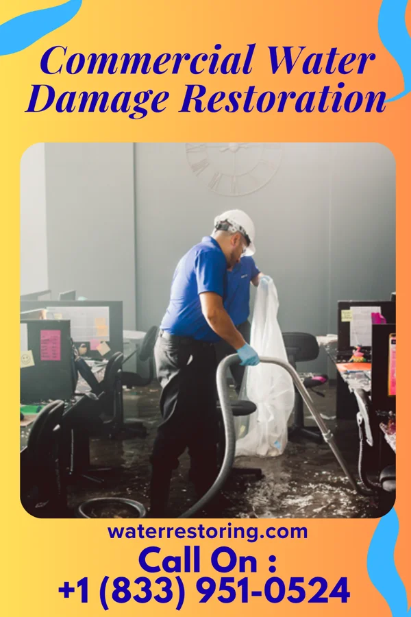 Commercial Water Damage Restoration in Greenwood, MN