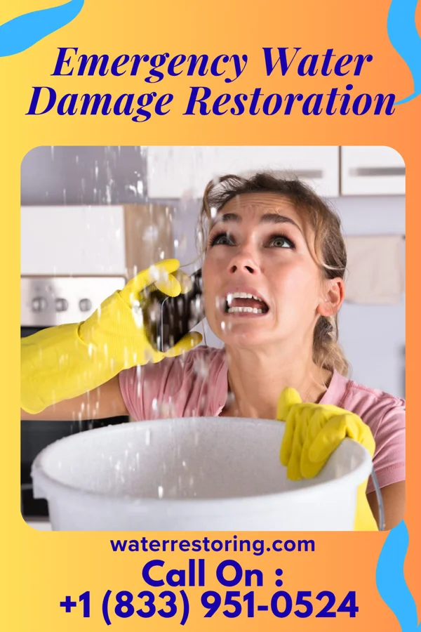 Emergency Water Damage Restoration in Greenwood, MN