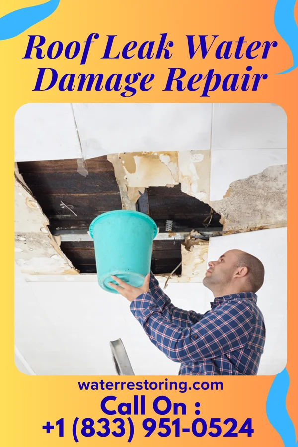 Roof Leak Water Damage Repair in Greenwood, MN